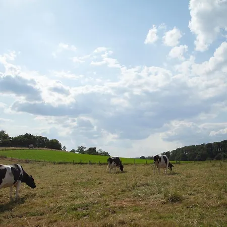 Landgasthof Obersteberg Bed & Breakfast Sprockhoevel