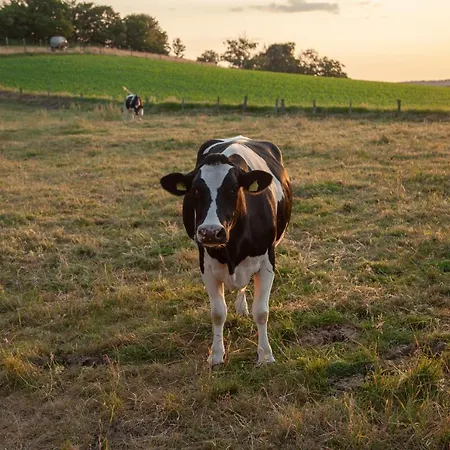 Bed & Breakfast Landgasthof Obersteberg
