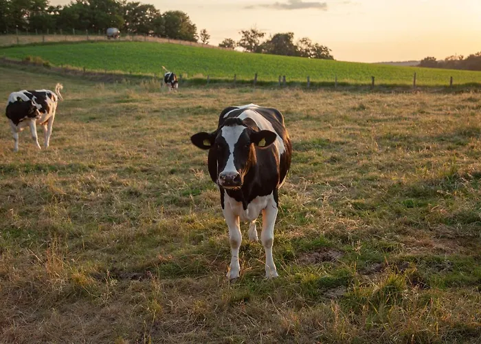 Bed and breakfast Landgasthof Obersteberg